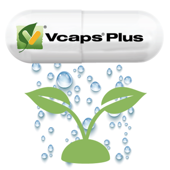 VCAPS PL (CLEAN LABEL) Nº 1 INCOLOR/INCOLOR