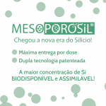 MESOPOROSIL (Sil. Orgânico) MESOPOROSIL (Sil. Orgânico)
