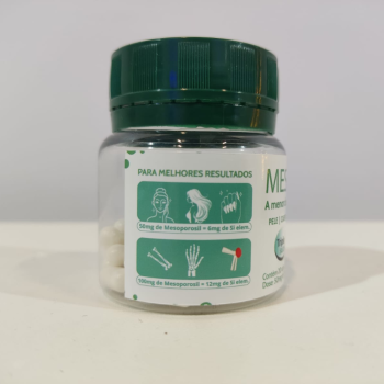MESOPOROSIL (Sil. Orgânico)
