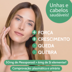 MESOPOROSIL (Sil. Orgânico) MESOPOROSIL (Sil. Orgânico)