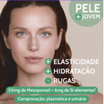 MESOPOROSIL (Sil. Orgânico) MESOPOROSIL (Sil. Orgânico)