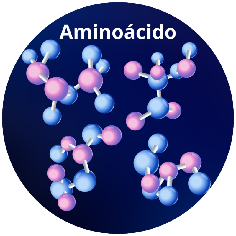 BETAÍNA ANIDRA (AMN)
