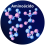 ACETIL L-CARNITINA HCL (AMN)