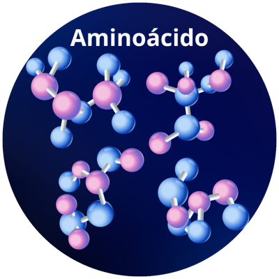 L-ORNITINA HCL (AMN)
