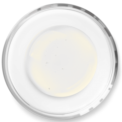 BASE SERUM FACIAL NÃO IÔNICO