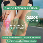 MESOPOROSIL (Sil. Orgânico) MESOPOROSIL (Sil. Orgânico)