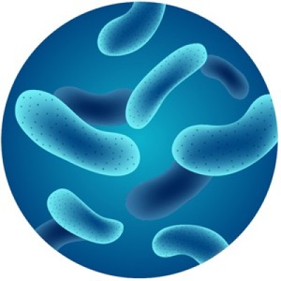 Prob. L. Casei (Lactobacillus) 100 Bi