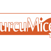 SUPLERA CURCUMICEL  CX C/ 6 UND