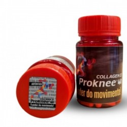 PROKNEE 40 (Colágeno Tipo II Não Desnaturado)