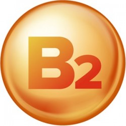 VITAMINA  B2 (RIBOFLAVINA)
